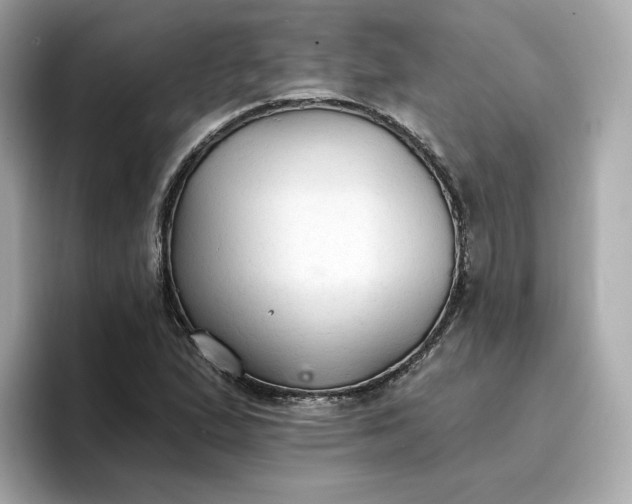 X0000096971167200802221356