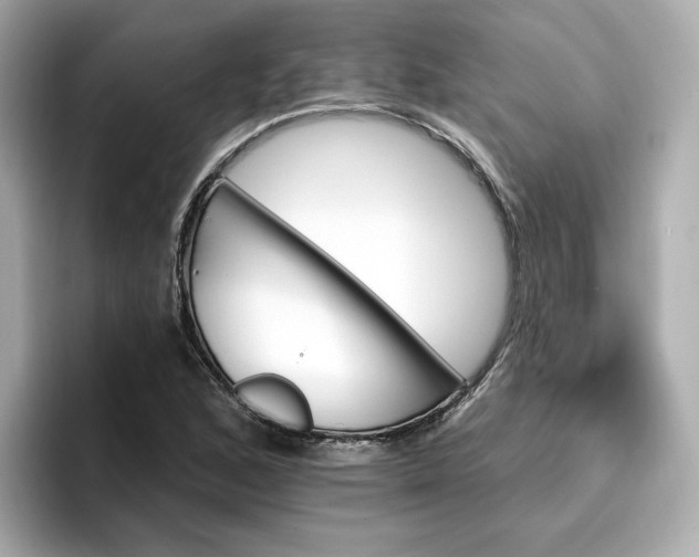 X0000096971168200802221356