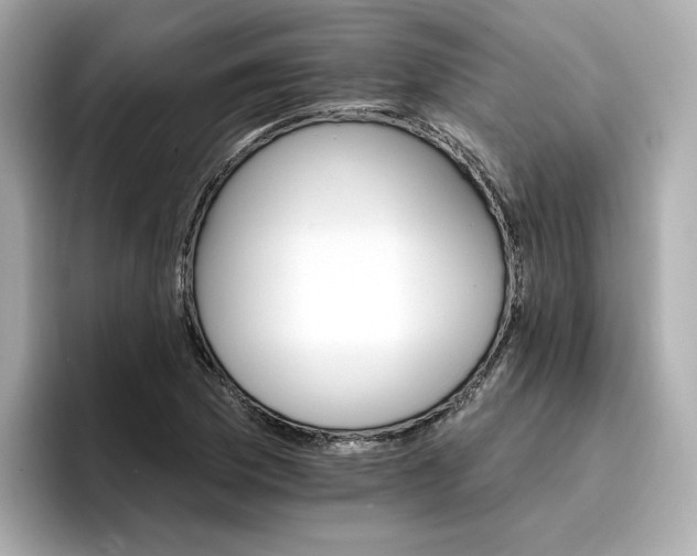 X0000096971169200802221356