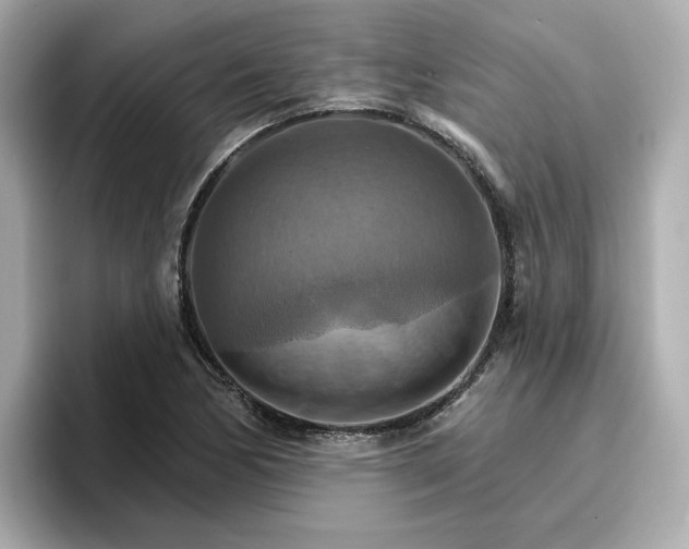 X0000096971170200802221356