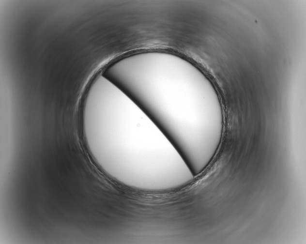 X0000096971171200802221356