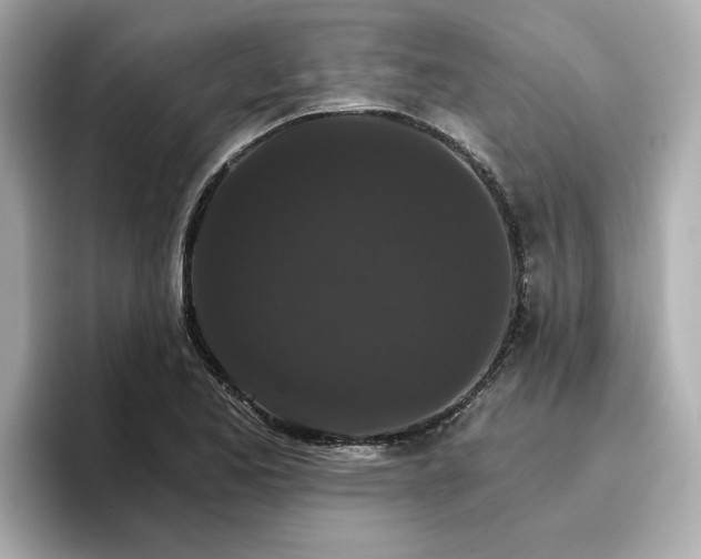 X0000096971173200802221356