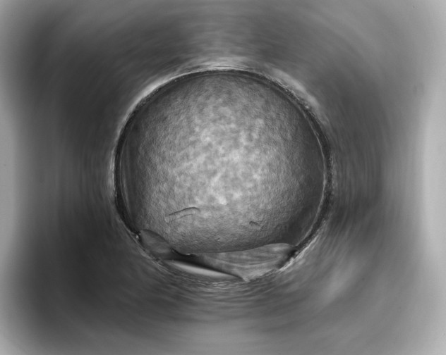 X0000096971174200802221356