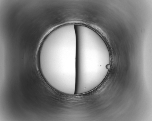 X0000096971175200802221356