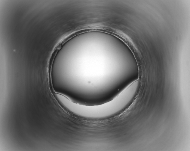 X0000096971176200802221356