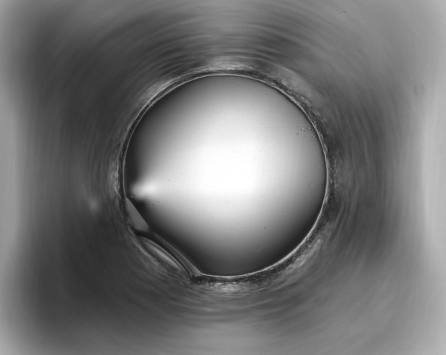 X0000096971177200802221356