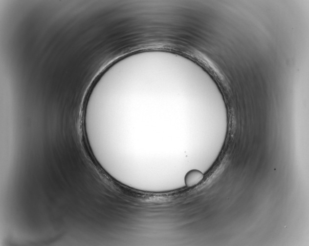 X0000096971178200802221356