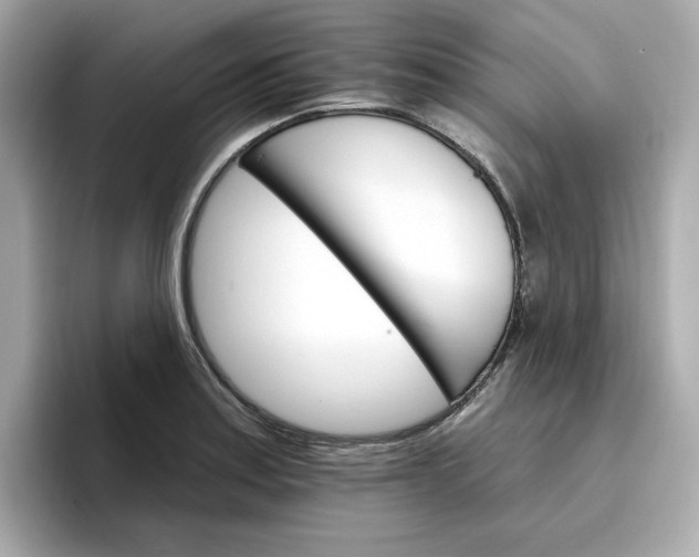 X0000096971179200802221356