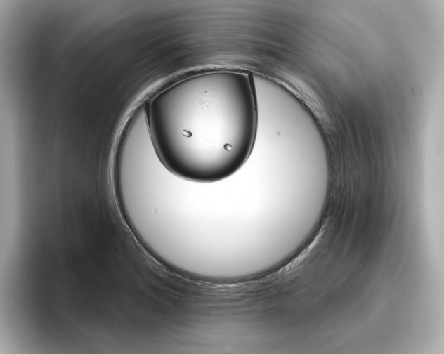 X0000096971180200802221356