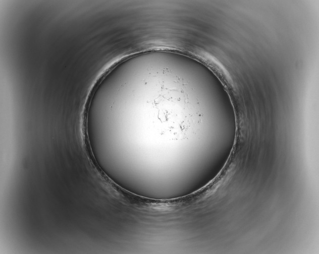 X0000096971182200802221356