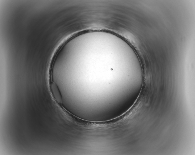 X0000096971183200802221356