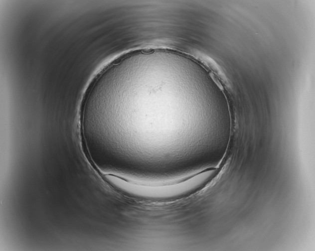 X0000096971184200802221356