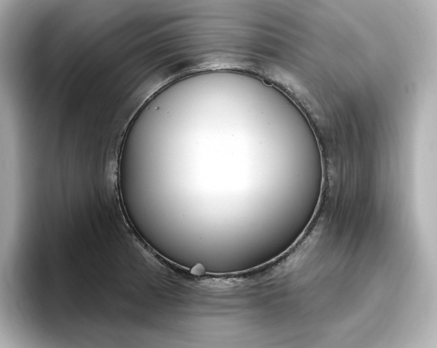 X0000096971185200802221356