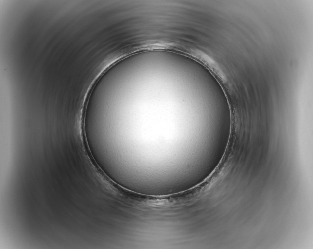 X0000096971186200802221356