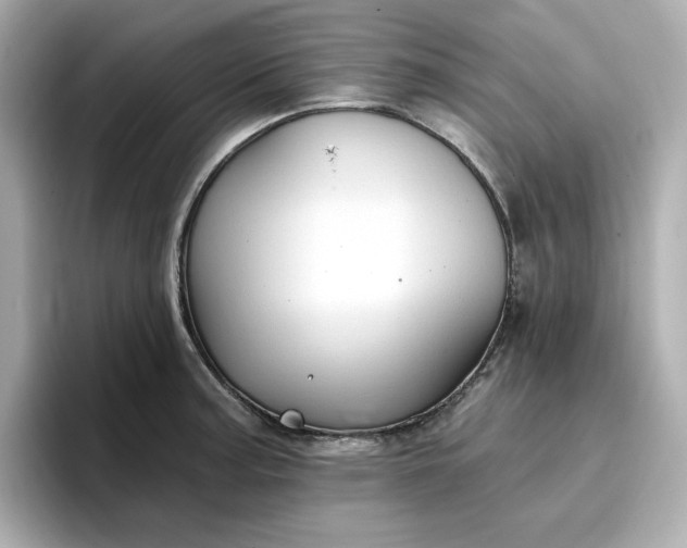 X0000096971187200802221356