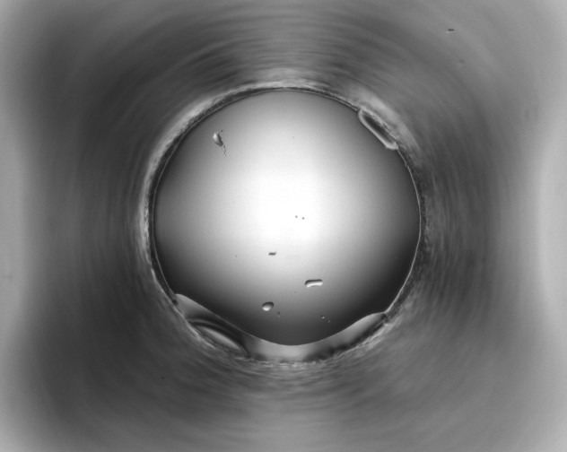 X0000096971188200802221356