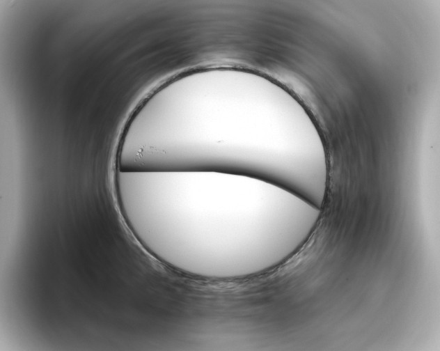 X0000096971191200802221356