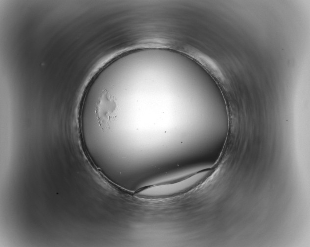 X0000096971192200802221356