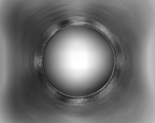 X0000096971193200802221356