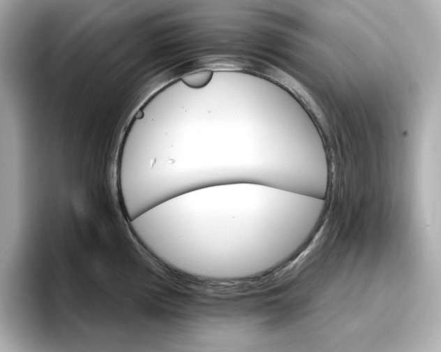 X0000096971194200802221356