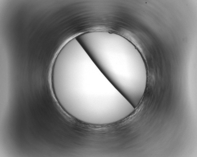 X0000096971195200802221356