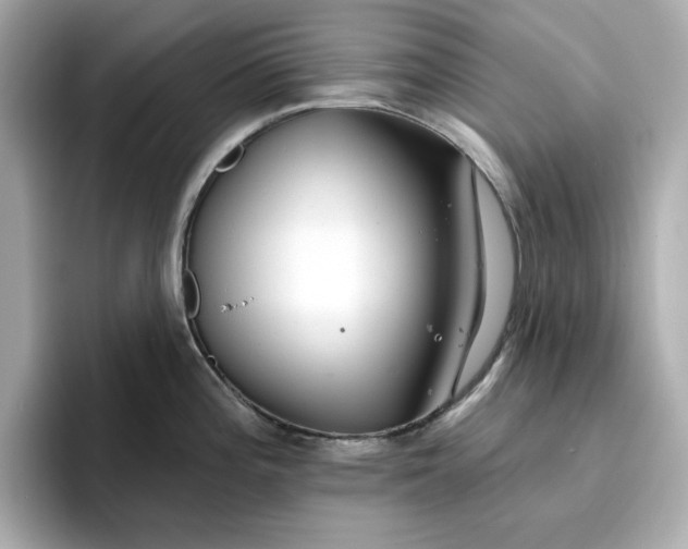 X0000096971196200802221356