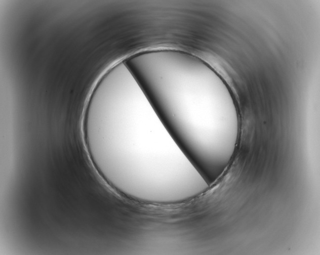 X0000096971197200802221356