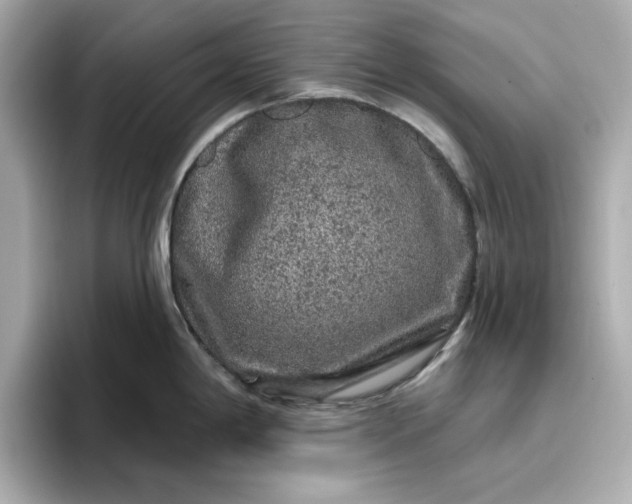 X0000096971198200802221356