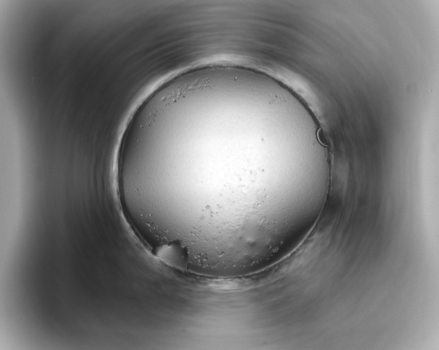 X0000096971199200802221356