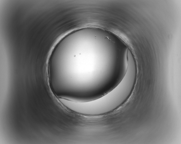 X0000096971200200802221356