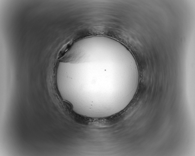 X0000096971201200802221355