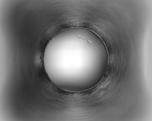 X0000096971202200802221355