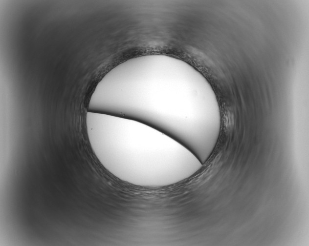 X0000096971204200802221355