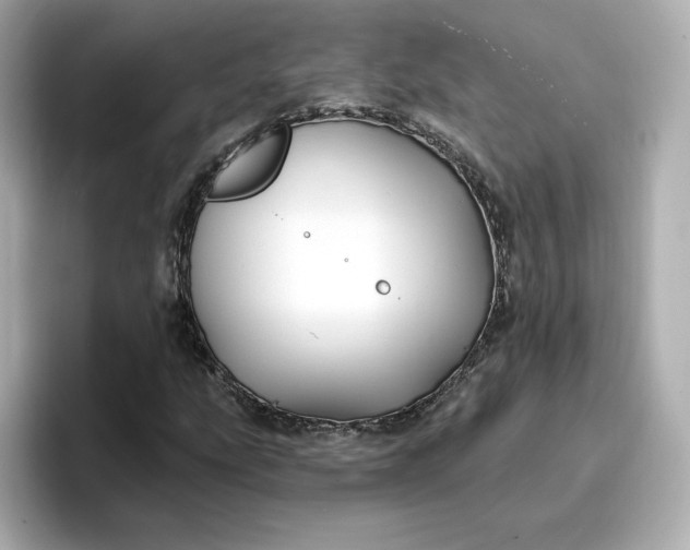 X0000096971207200802221355