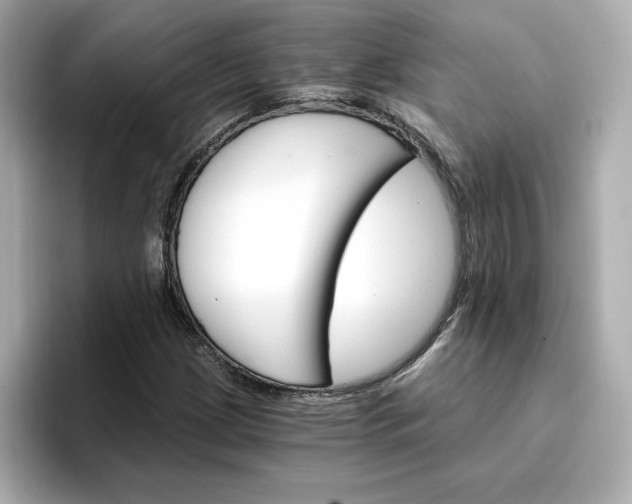 X0000096971209200802221355