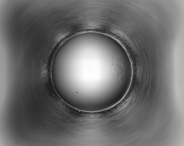 X0000096971210200802221355