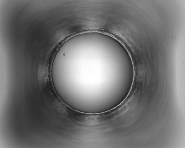 X0000096971211200802221355