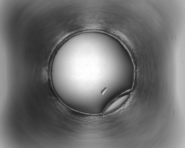 X0000096971212200802221355