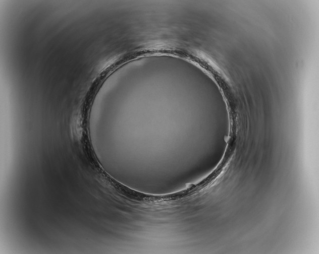 X0000096971213200802221355