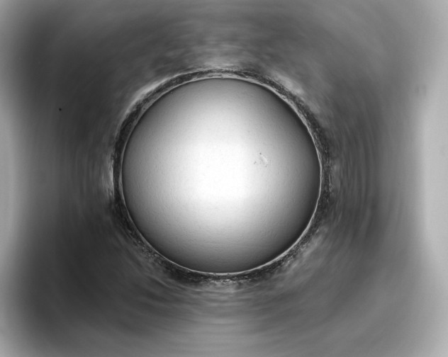 X0000096971214200802221355