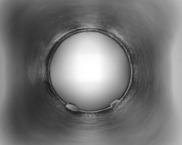 X0000096971215200802221355