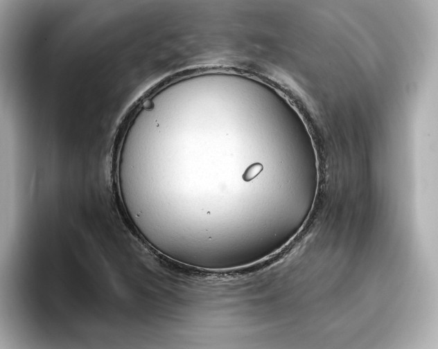 X0000096971216200802221355