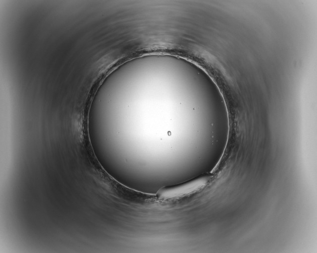 X0000096971217200802221355