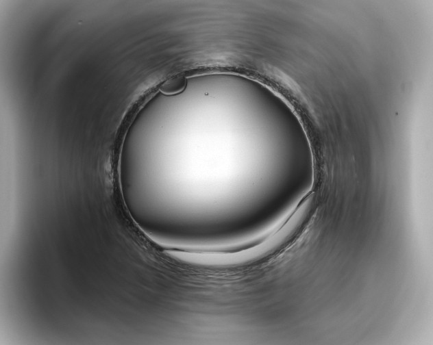 X0000096971218200802221355