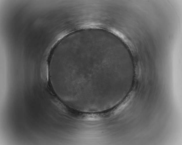 X0000096971219200802221355