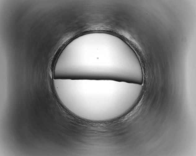 X0000096971221200802221355