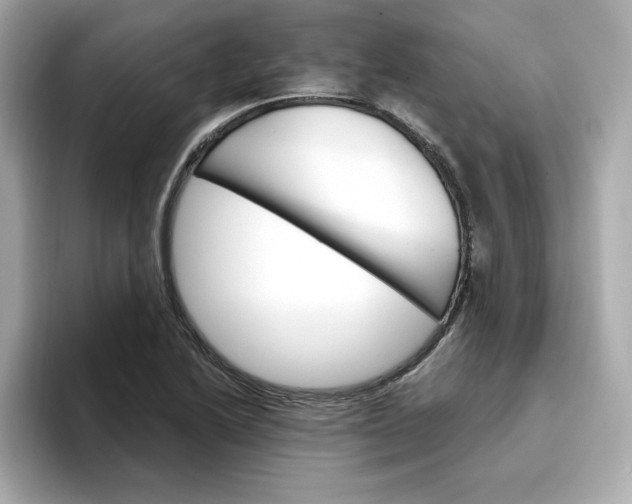 X0000096971222200802221355