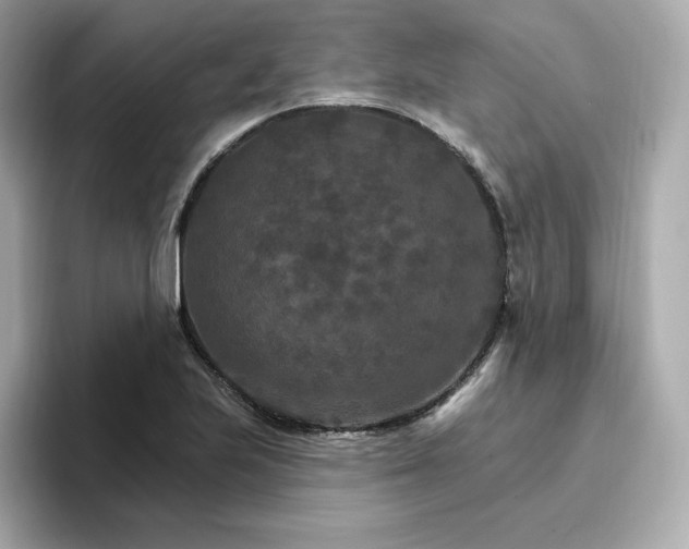 X0000096971223200802221355