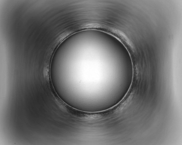 X0000096971225200802221355