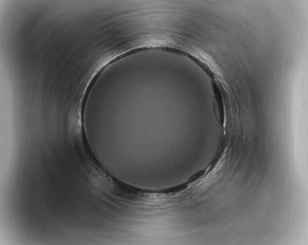 X0000096971226200802221355